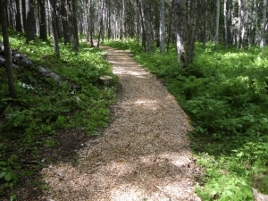 IMGP0383