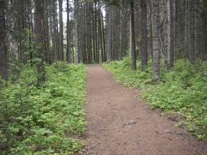 IMGP0360