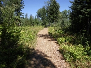 IMGP0521