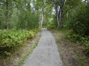 IMGP0631