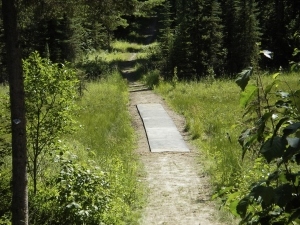 IMGP9063